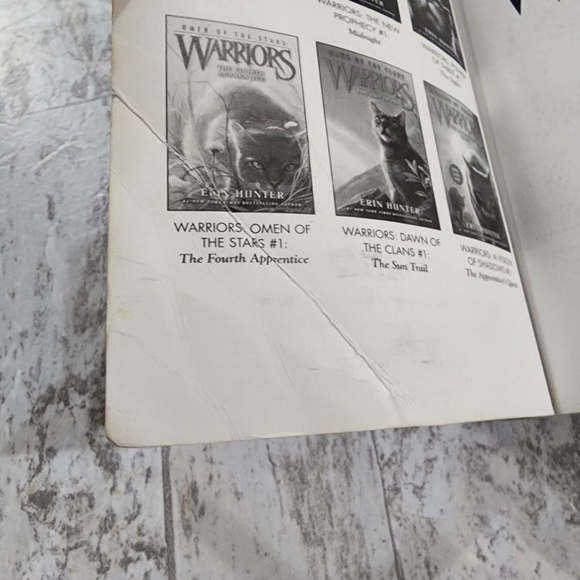 Warriors: Graystripe's Adventure by Erin Hunter - Illustrated Cat Book - Picture 10 of 12